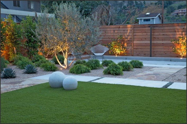 Elegant Minimalism: Embracing the Beauty of Fruitless Olive Trees in Landscaping