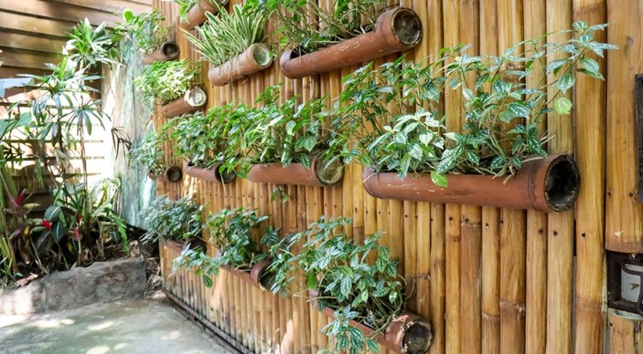 Vertical Wall Trellises: Maximize Vertical Space in Your Garden