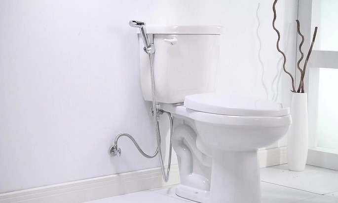 Sanitary Infrastructure Upgrades: Implementing the Handheld Bidet Sprayer