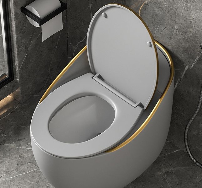 Sanitary Surface Protection: Maintaining Hygiene with the Toilet Seat Cover